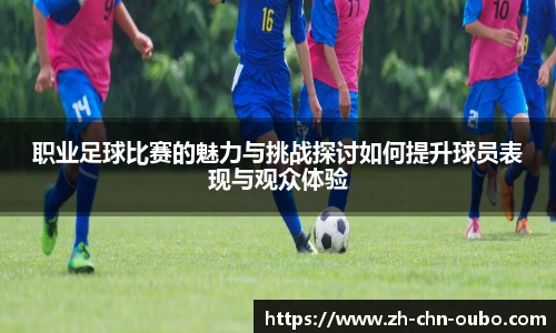 职业足球比赛的魅力与挑战探讨如何提升球员表现与观众体验